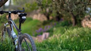 Bike in meadow